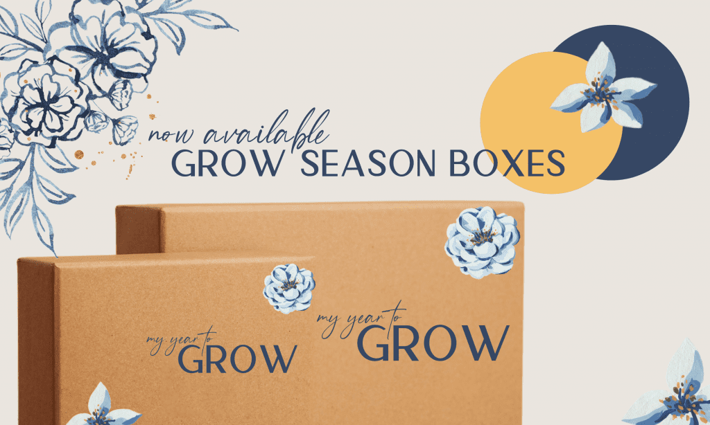 Grow Boxes 1